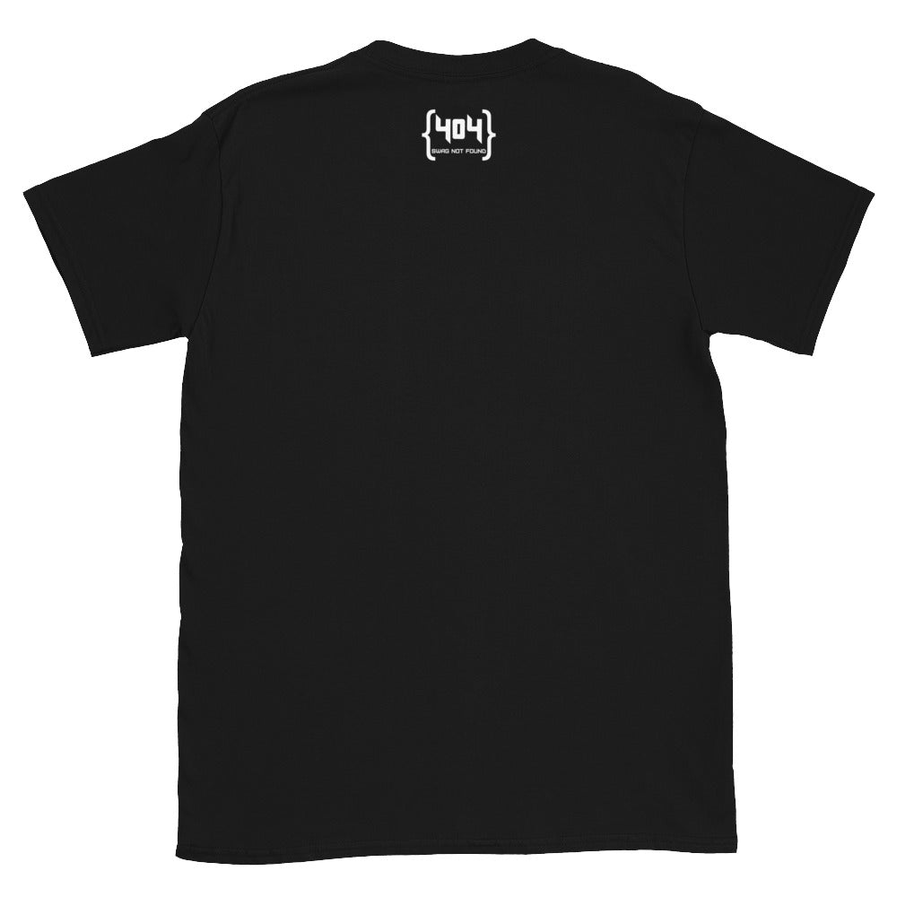 Plugin Not Compatible - 404 Swag Not Found